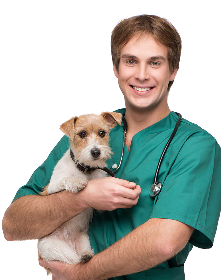 Male Vet with Dog 1 Male Vet with Dog 1